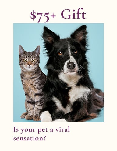 Gifting collab & commission! Is your pet a viral sensation?